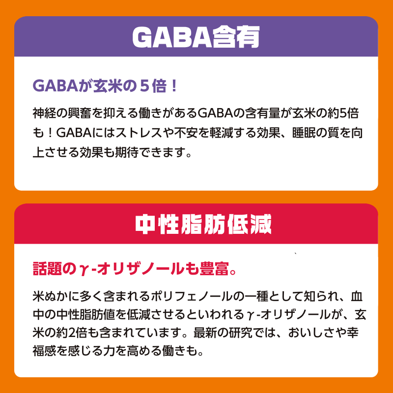 レンジで出来たて!WE米蒸しパン(3つセット)