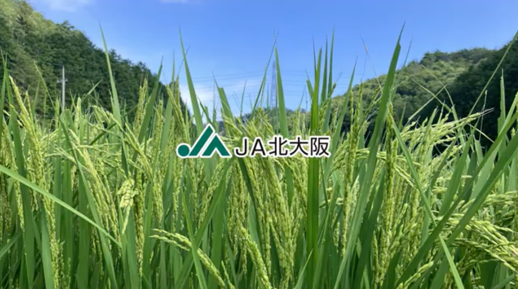 動画を読み込む: 