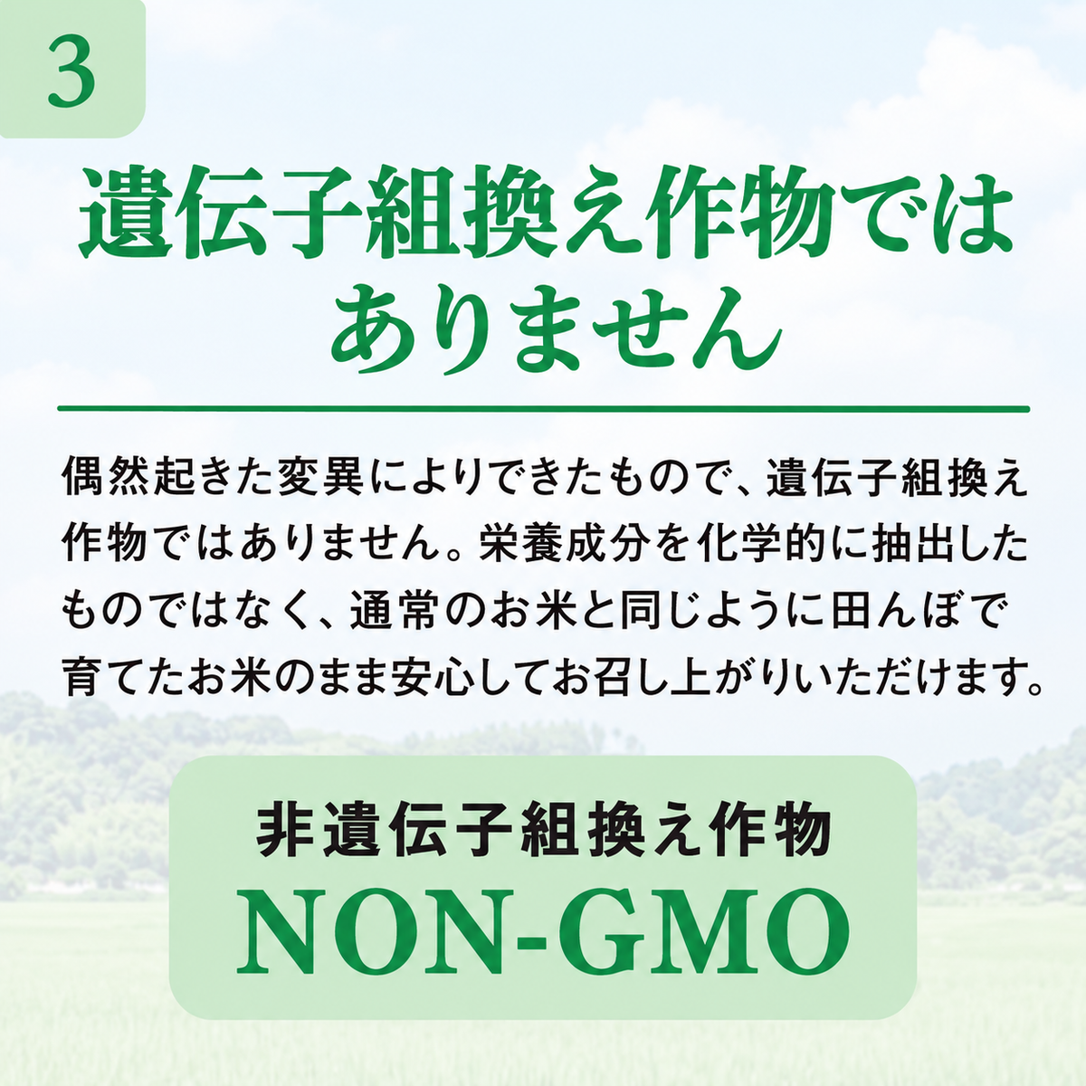 WE米®︎ 食物繊維量が100g中36.7gのスーパー玄米