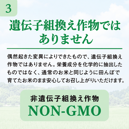 WE米®︎ 食物繊維量が100g中36.7gのスーパー玄米