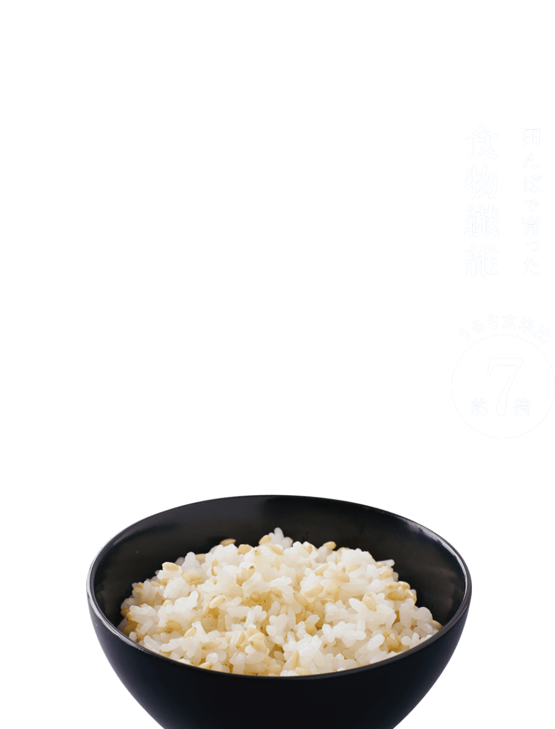 田んぼで育った食物繊維 農協のういまい 生活習慣米 管理栄養士推奨度95%以上 うるち玄米比 約7倍